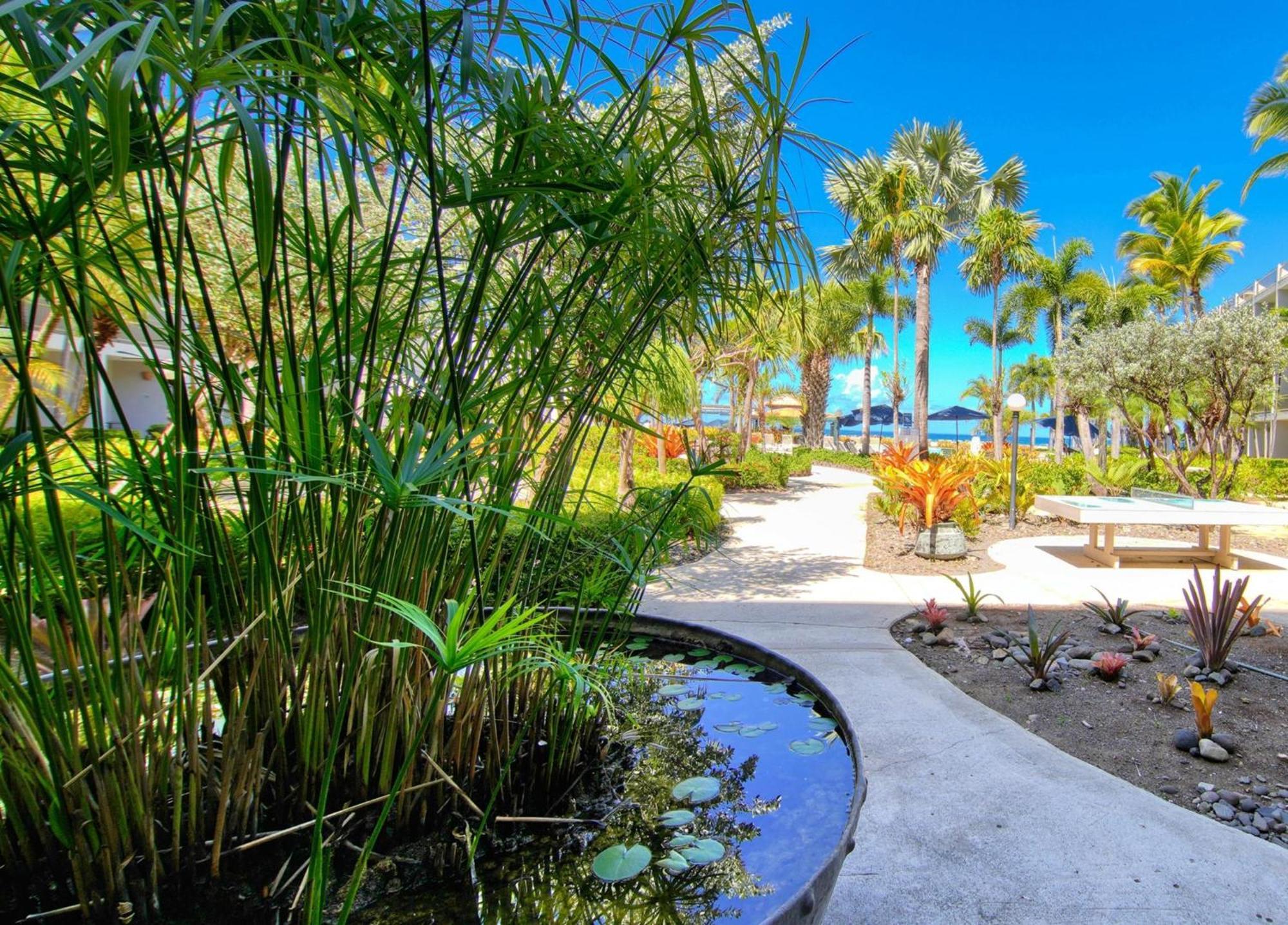 Rincon Of The Seas Grand Caribbean Hotel Extérieur photo